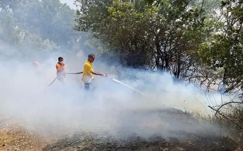 Türkiyənin bir neçə bölgəsində meşə yanır, kəndlər təxliyə edilib, evlərə ziyan dəyib