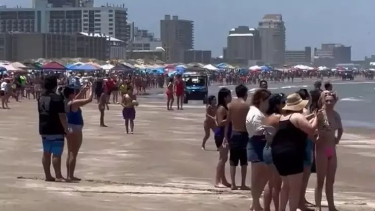 ABŞ-da çimərlikdə köpək balığının hücumu nəticəsində 4 nəfər yaralanıb