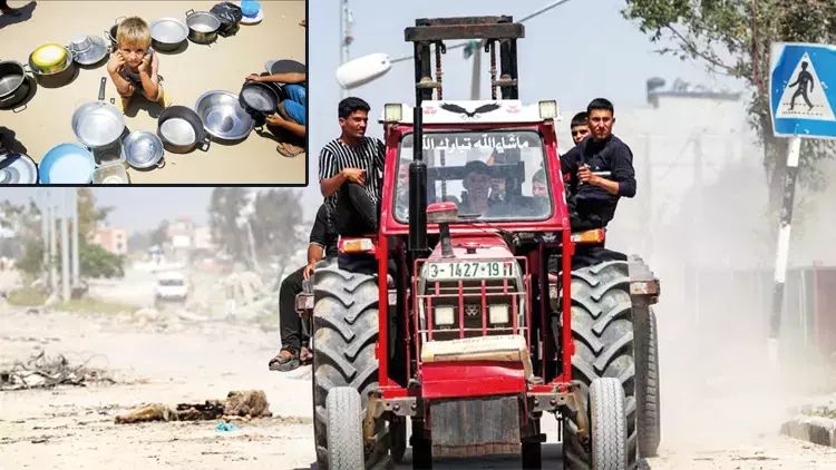 Qəzzada kənd təsərrüfatına yararlı torpaqların yarısı məhv edilib