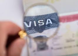 COP29 viza müraciət sistemi aktivləşdirilib