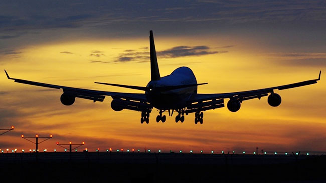 Təyyarənin qapısını açaraq özünü atmaq istədi, tutuldu