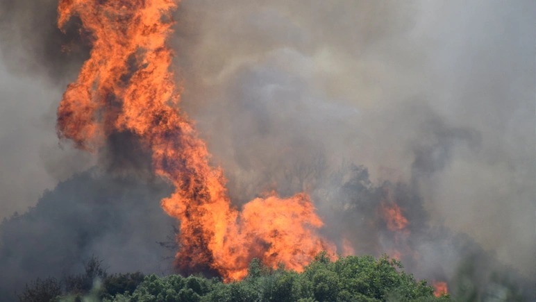 Türkiyədə meşədə baş verən yanğın evlərə sıçradı