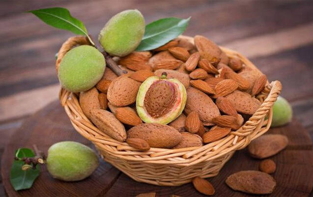 Bu çərəz qanda “pis” xolesterinin səviyyəsini azaldır