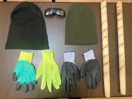 Bibisinə qarşı quldurluq etmək istəyən şəxs və tanışı TUTULDULAR