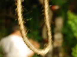 İsmayıllıda kişi özünü qoz ağacından asdı