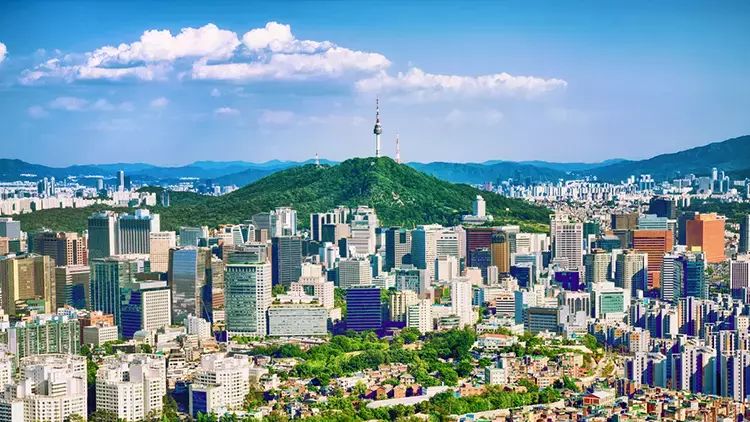 Cənubi Koreyada it ətinin ticarətini və istehlakını qadağan edən qanun qüvvəyə minir