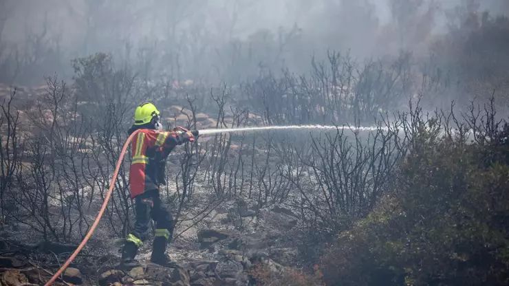 Türkiyə Yunanıstana Afina yaxınlığındakı yanğınla bağlı yardım təklif edib