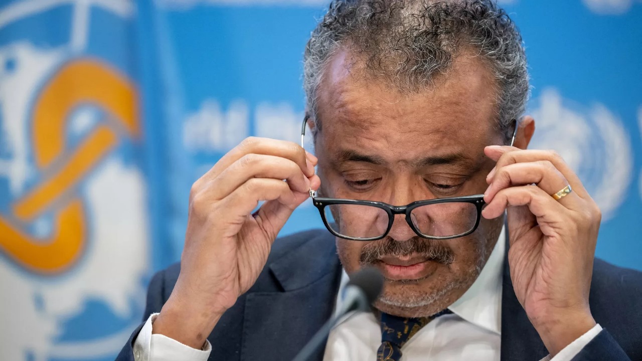 ÜST meymun çiçəyi virusuna görə dünyada fövqəladə vəziyyət elan etdi