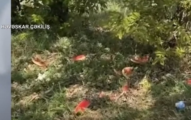 Azad edilmiş əraziləri çirkləndirənlərə çağırış - Video