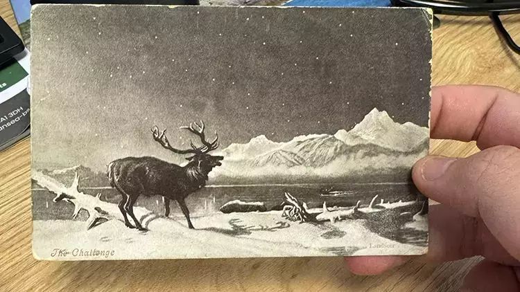 1903-cü ildə Uelsdə göndərilən 