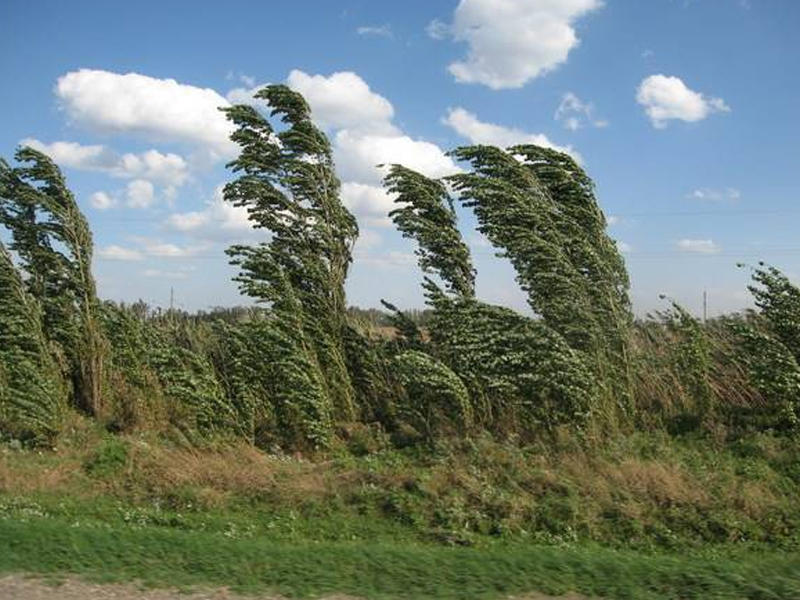 Küləklə bağlı sarı xəbərdarlıq
