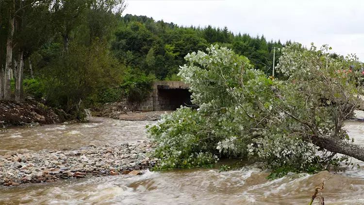 Sudanda daşqın baş verib: 132 ÖLÜ