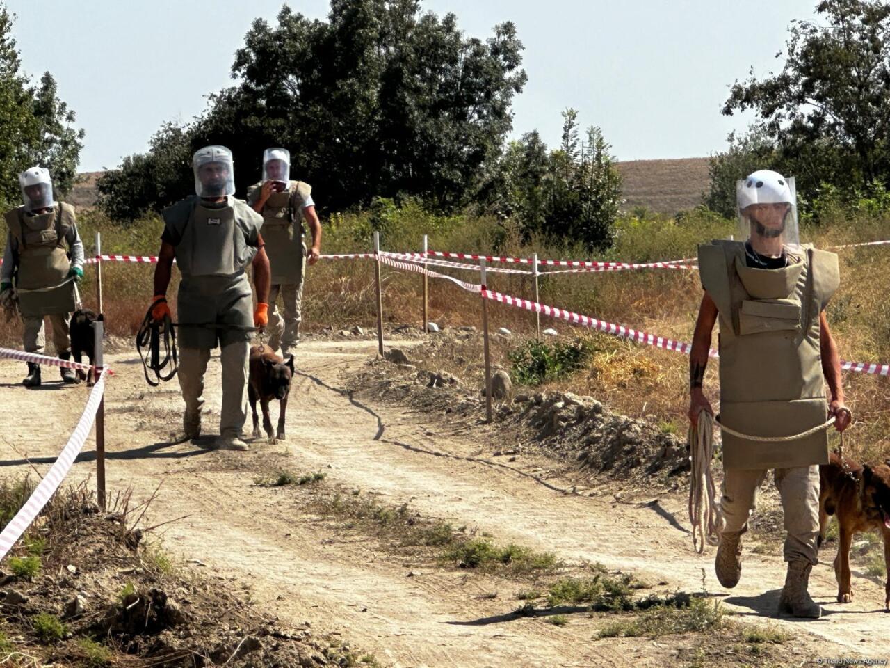 Horadiz kəndinin 80 faizi minalardan təmizlənib - FOTO