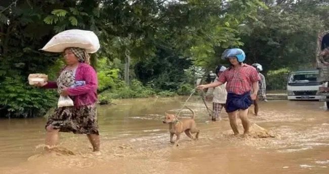 Filippində tropik siklonlar və musson yağışları səbəbindən 6 nəfər ölüb
