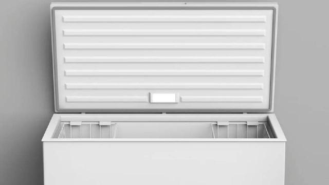 Namibiyada 4 uşaq dondurucuda qalaraq ölüb