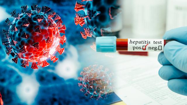 Alimlər ölümcül virusun sirrini açmağa yaxındırlar