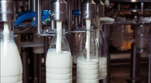 Rusiya Azərbaycanda istehsal olunan süd məhsullarının idxalına qadağa qoyub