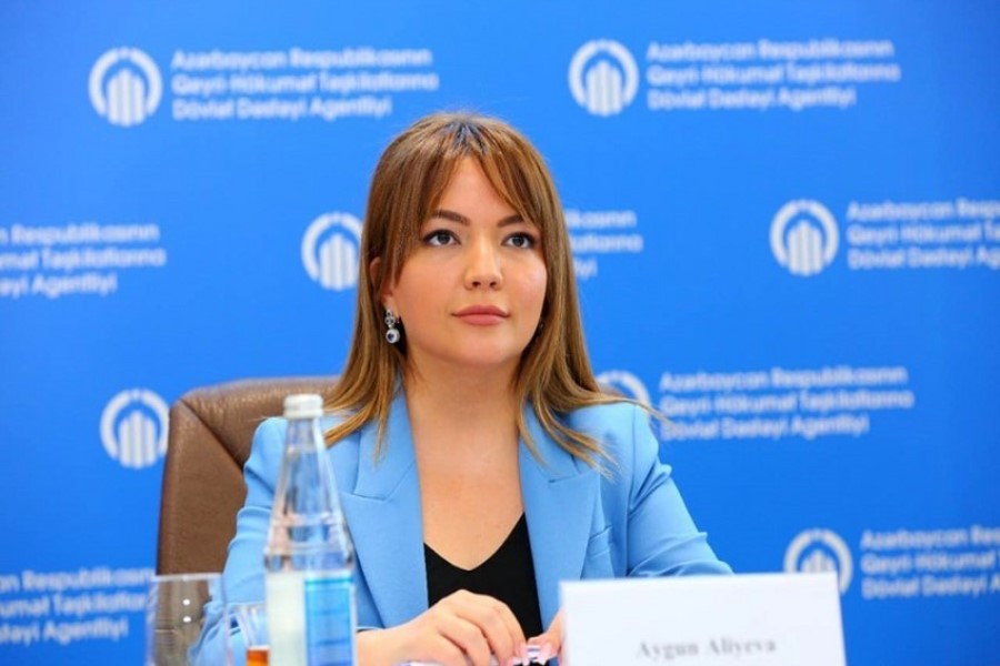 Aygün Əliyeva: Agentlik 1 806 layihəyə maliyyə dəstəyi göstərib