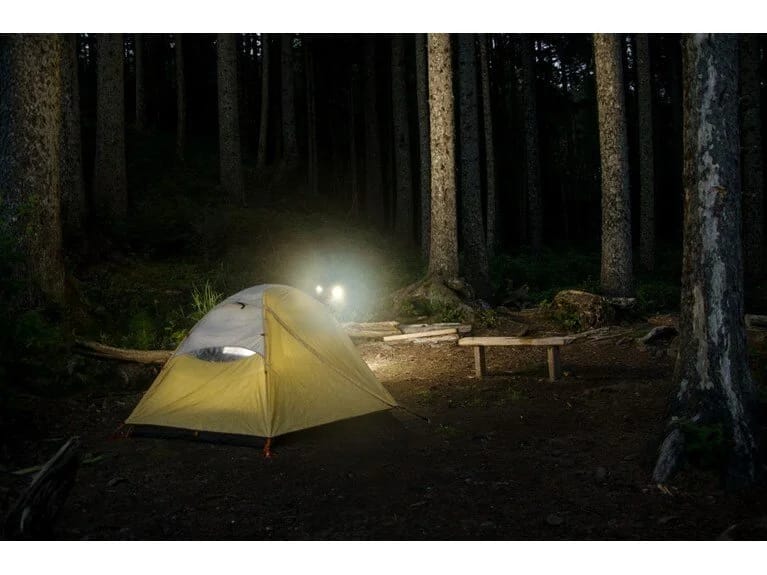 12 yaşlı uşaq və babası düşərgə çadırında ölü tapılıb