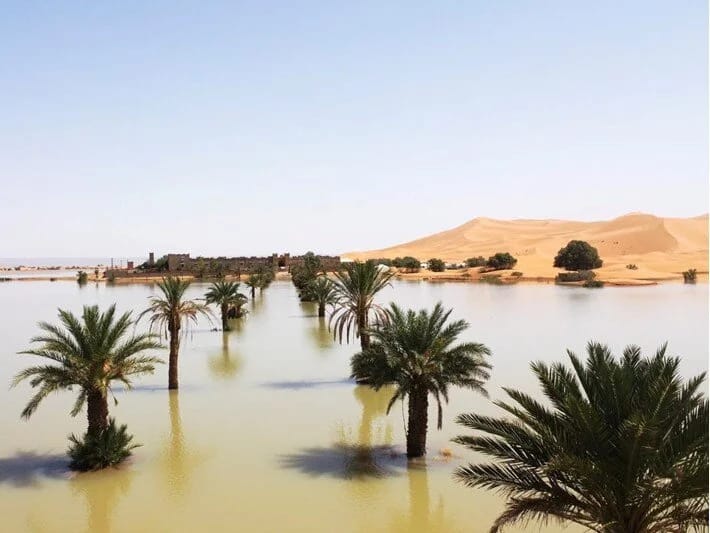 Son 50 ildə beləsi görülməyib: Saxara səhrasında daşqın