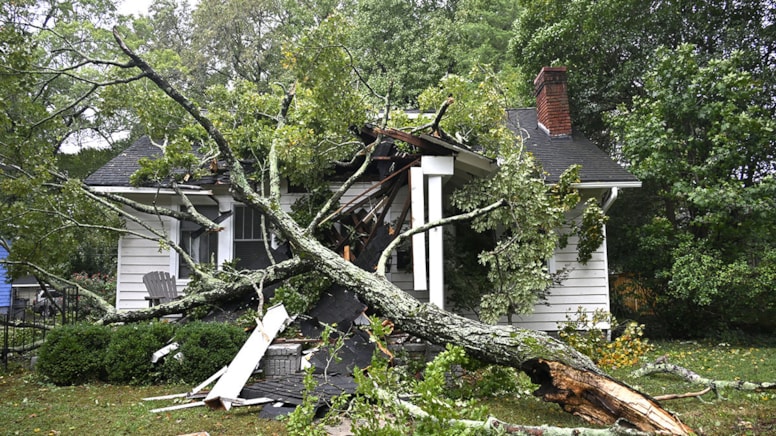 “Helen” faciəsində itkin düşənlər tapılmır