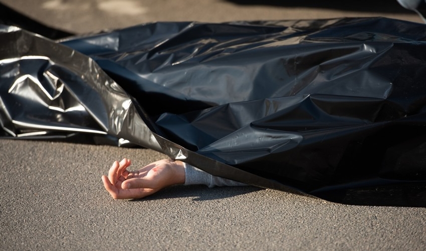 Qəbələdə faciə - Bağda meyvə yığan zaman öldü