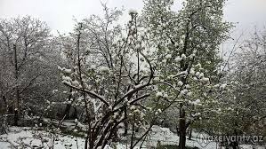 Naxçıvanın dağ kəndlərinə ilk qar yağıb