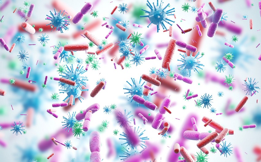 Alimlər yeni pandemiyaya səbəb ola biləcək virusları aşkarlayıblar