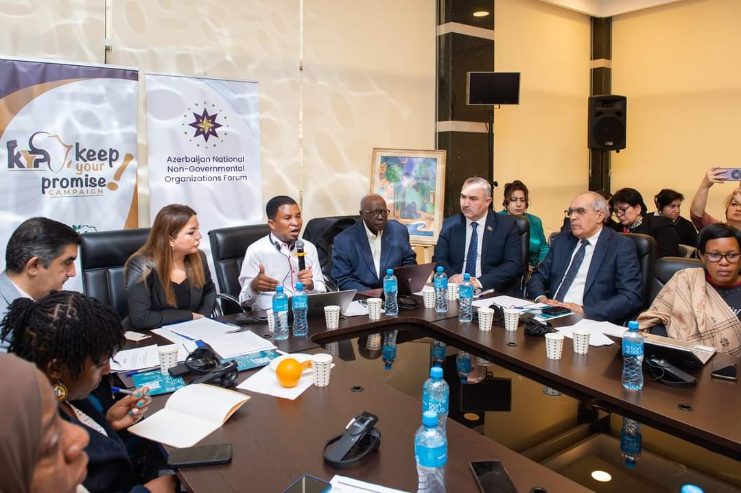 Azərbaycan və Afrika QHT-ləri COP29 mövzusunda birgə konfrans keçirib