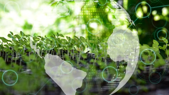 BMT: İqlim dəyişikliyi köçkünlər üçün ölümcül təhlükədir