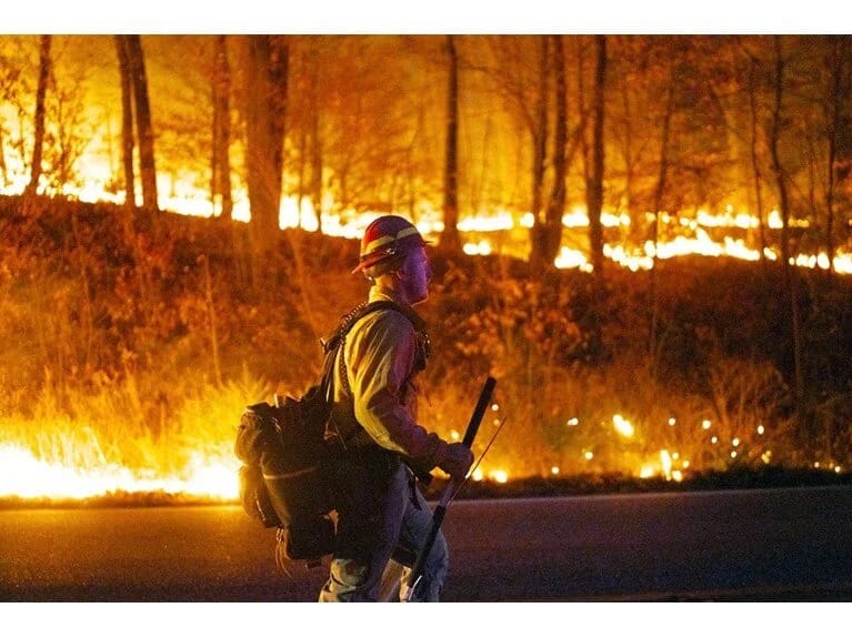 Nyu Cersidə meşə yanğını: Yağış alovları söndürə bilməyib