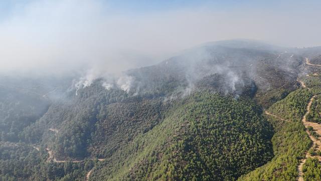 Ekvadorda quraqlıq və meşə yanğınları səbəbindən iki ay müddətinə fövqəladə vəziyyət elan edilib