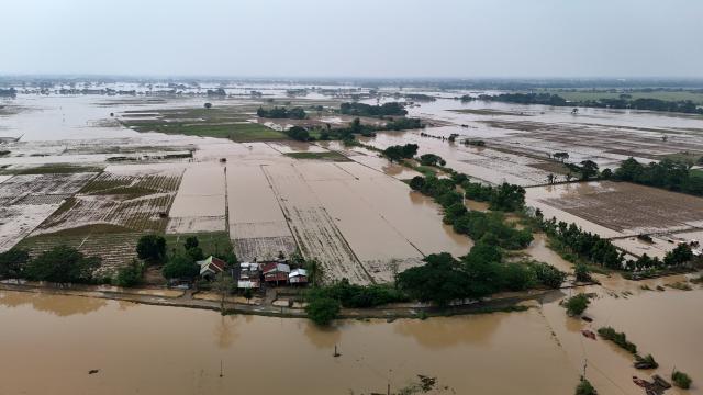 Filippində baş verən qasırğada 12 nəfər ölüb