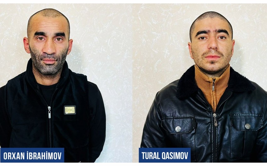 Ağdaşda 20-ə yaxın at oğurlamaqda şübhəli bilinən şəxslər saxlanılıb