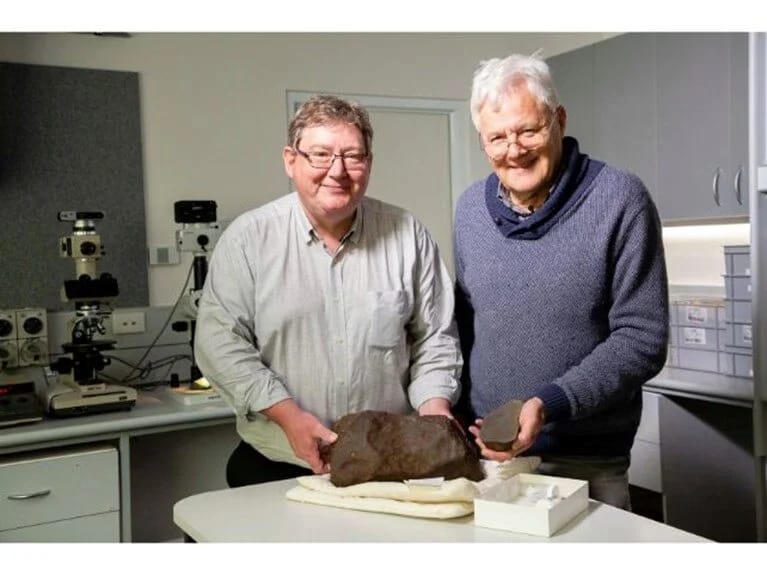 Qızıl zənn edib gizlətdi, amma o, qat-qat qiymətli oldu: Sizin həyətinizdə bir sərvət ola bilər! 