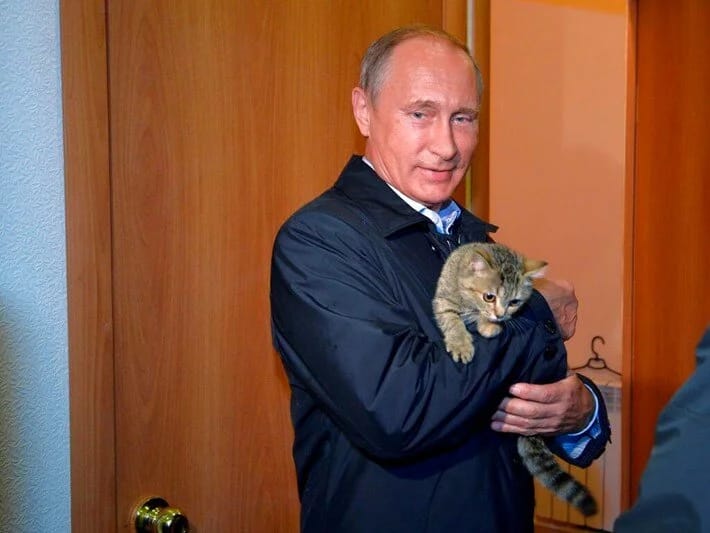 Putinin Yaponiyaya hədiyyə etdiyi “sülh pişiyi” ölüb