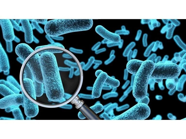 Avstraliyada həyəcan: 323 şüşə 