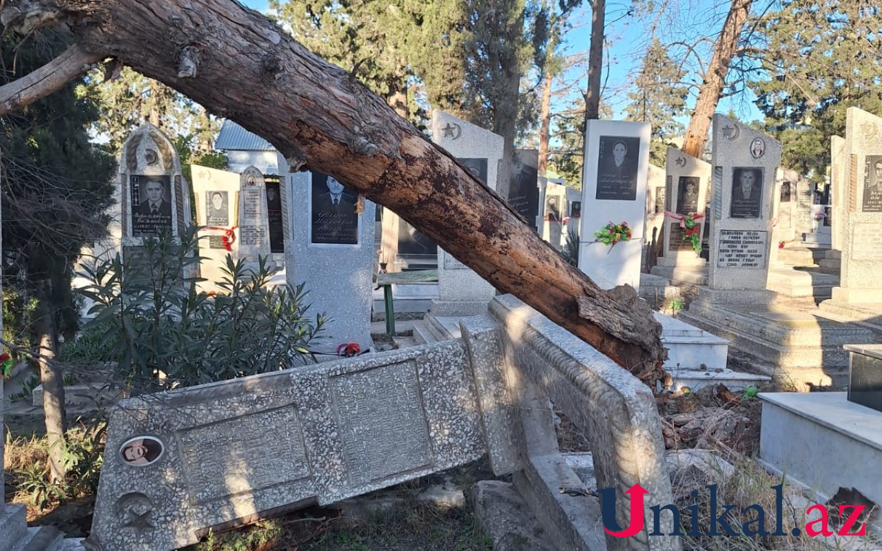 Güclü külək Mingəçevirdə qəbiristanlığı dağıtdı - FOTOLAR