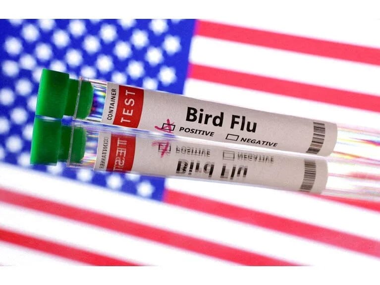 ABŞ-da epidemiya həyəcanı: İnsanlarda görülən ilk ciddi hadisə