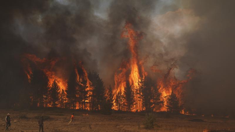 Avstraliyada güclü meşə yanğınları: 70 min hektar ərazi külə döndü