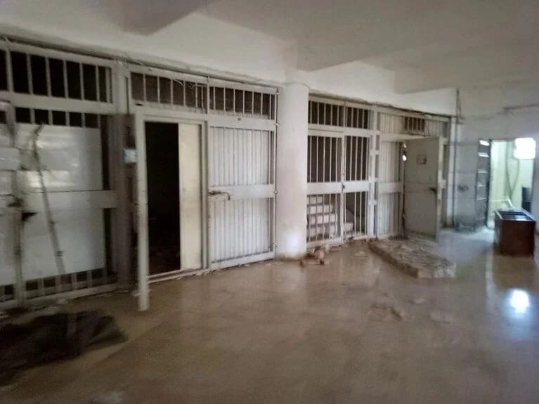 “İnsan kəsimxanası” Sednayanın cəlladı və 20 nəfər tutulub