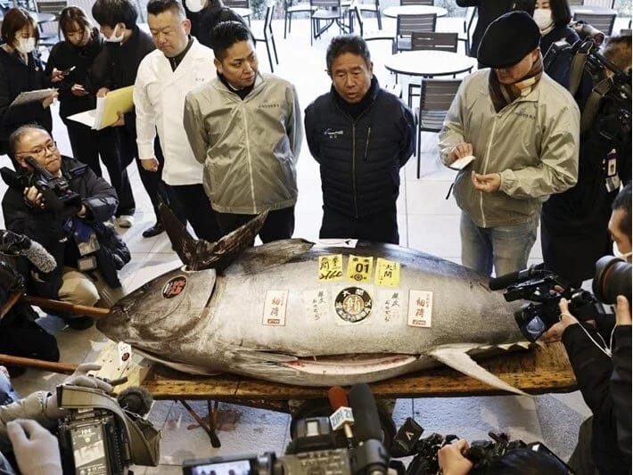 Yaponiyada nəhəng balıq 1,3 milyon dollara satılıb