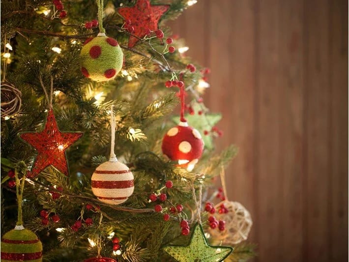 Belçika Qida Agentliyi: Zəhmət olmasa, Milad ağacınızı yeməyin