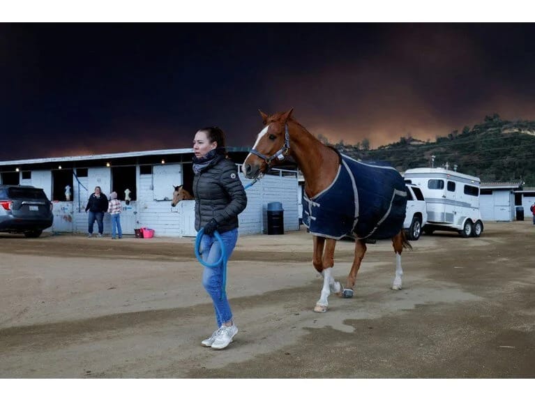 Los-Ancelesdəki tövlələr Nuhun gəmisinə çevrildi