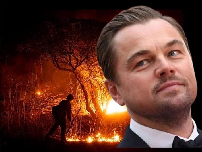 Leonardo DiCapriodan 1 milyon dollar ianə