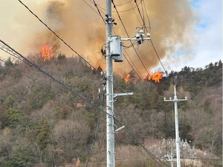 Yaponiyada meşə yanğını baş verib