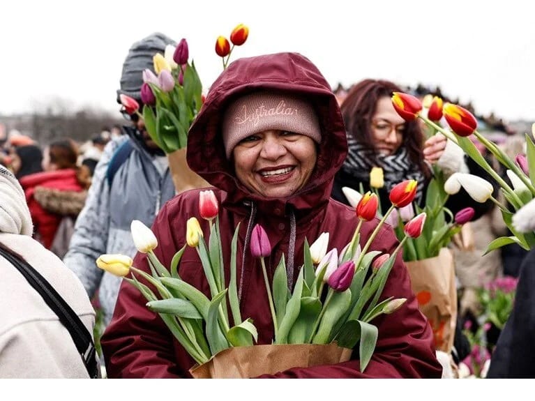 Hollandiyada lalə mövsümü həyəcanı başlayıb