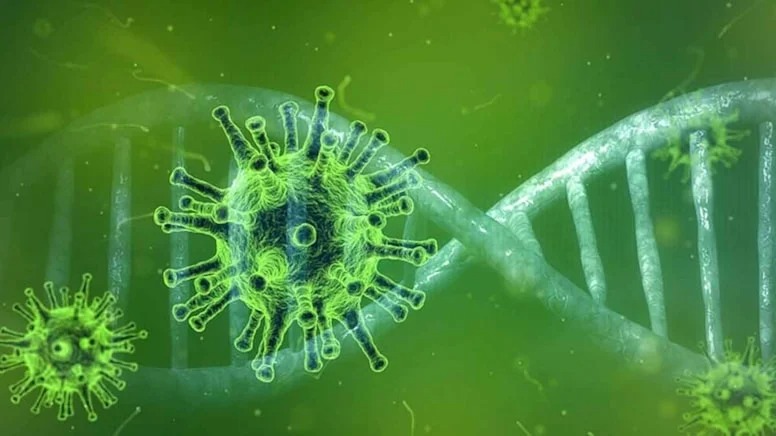 Ölümcül virus mutasiyaya uğradı: Alimlər təşvişdə