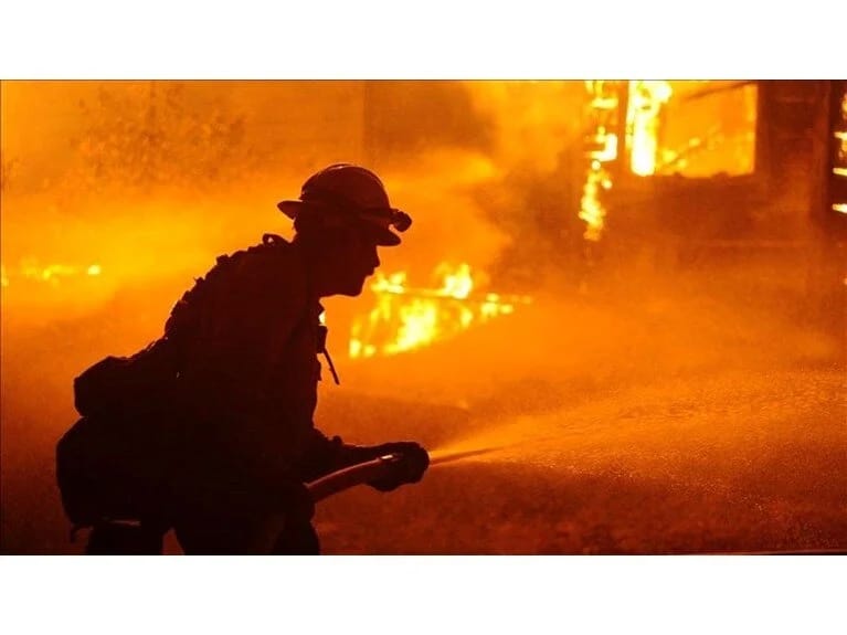 Los Anceles qurbanları üçün yardım konserti: Onlarla sənətçi səhnəyə çıxacaq