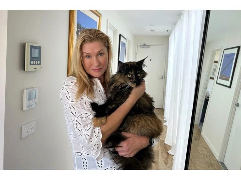 Təyyarədə unudulan pişik səyahət həvəskarına çevrildi: 3 uçuşdan sonra sahibinə qovuşdu